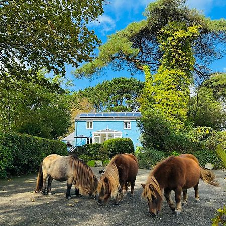 佛得角利莫-一室公寓和湾景小屋 圣奥斯特尔 外观 照片