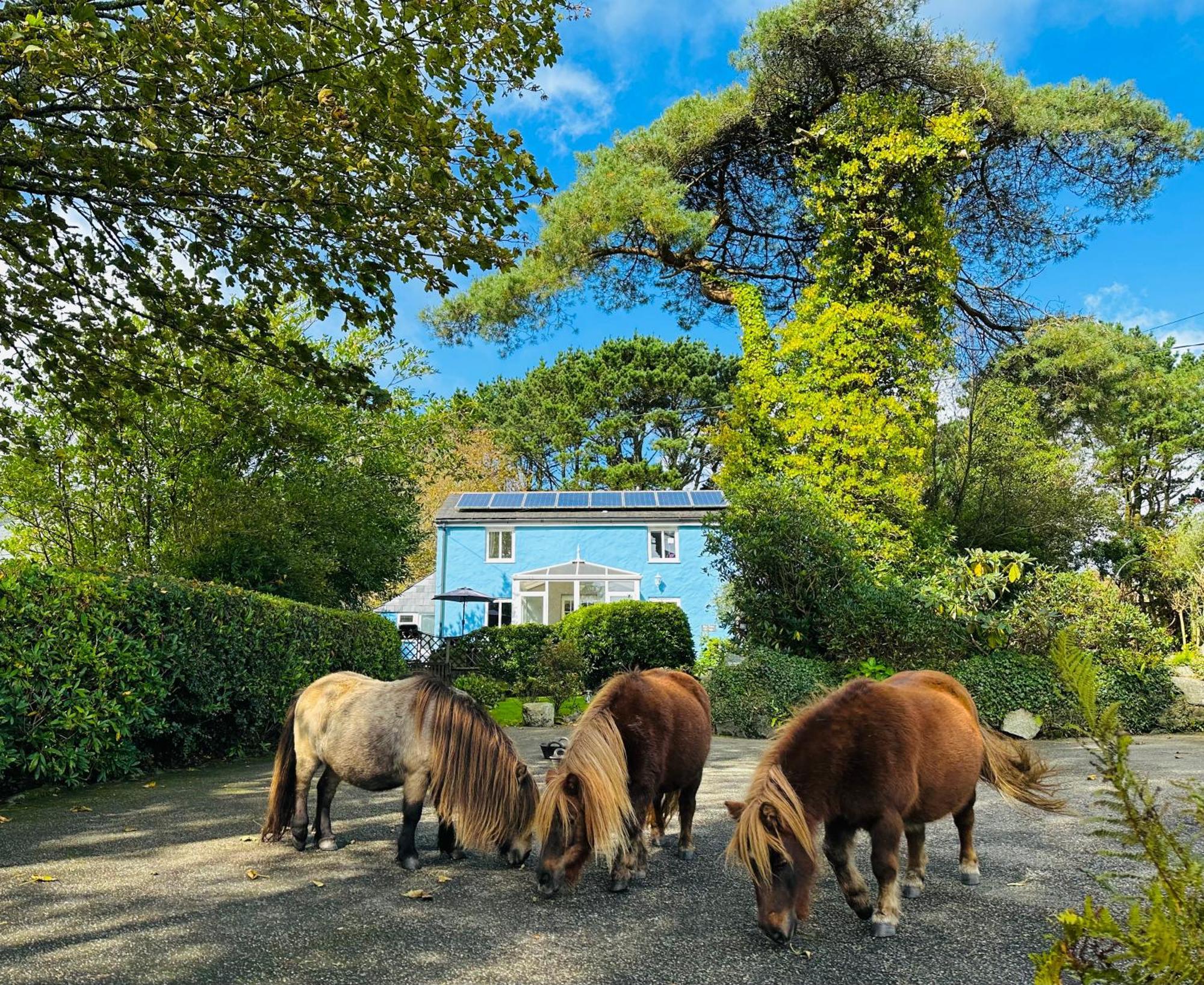 佛得角利莫-一室公寓和湾景小屋 圣奥斯特尔 外观 照片