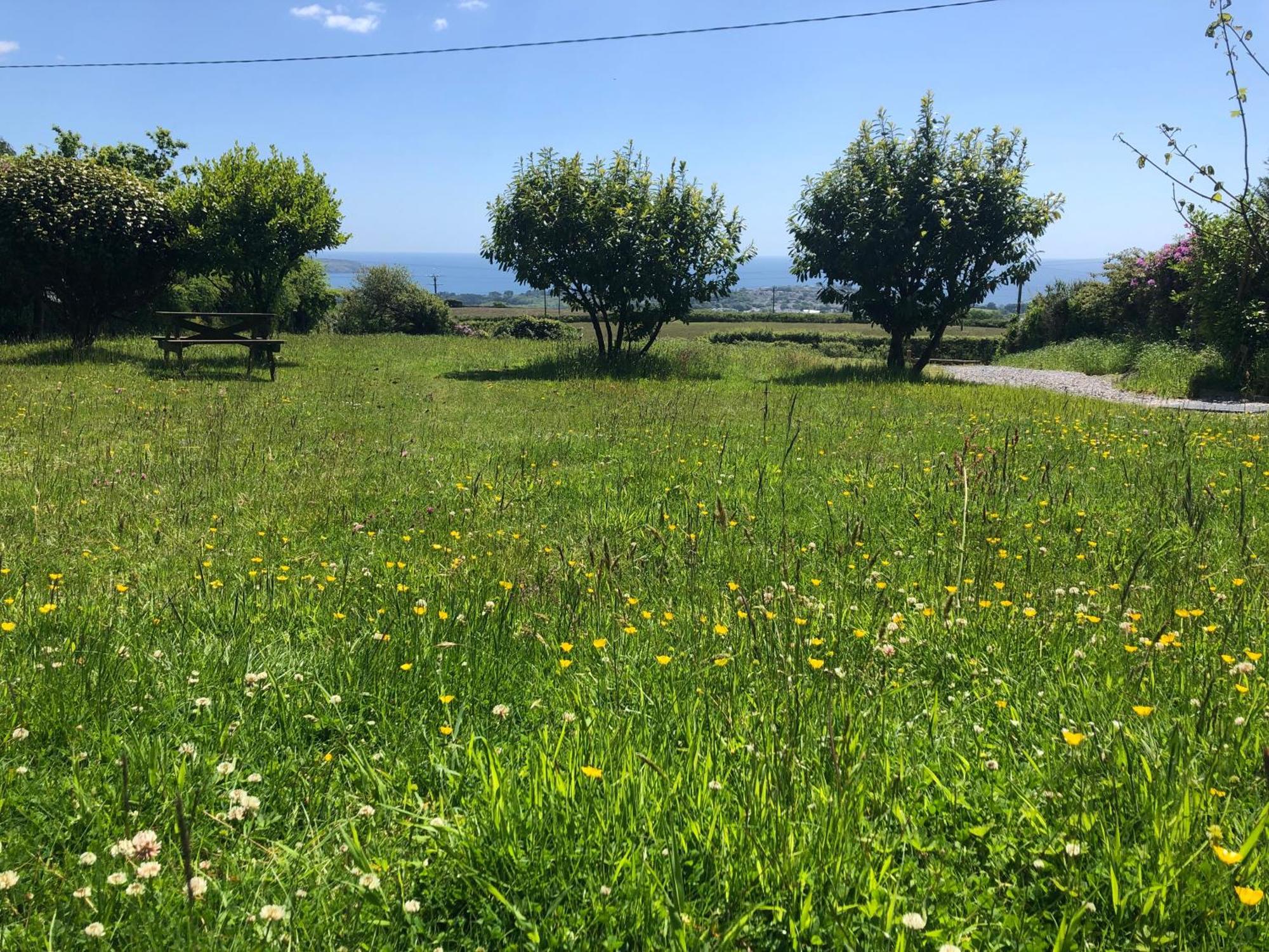 佛得角利莫-一室公寓和湾景小屋 圣奥斯特尔 外观 照片